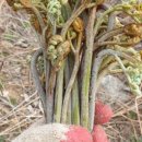 지리산 농장 이미지