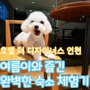 호텔 더 디자이너스 인천 | 여름이와 함께한 호텔 더 디자이너스 호캉스 후기