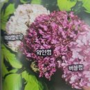 산마루가든센터
