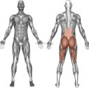 굿모닝PC 이미지