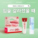 정문온누리약국 | 구순염 입술 틀때 연고는? 큐립연고가격 비판톨립스틱 후기