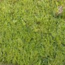 무창포비치호텔 이미지