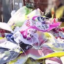 행정용 50 이미지