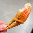 바다마차 이미지