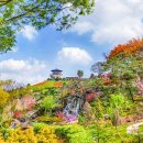 봄꽃체험코스 이미지