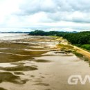 글로벌 송림 이미지