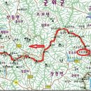 오로 티스토리