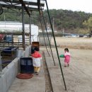 워니 농장 이미지