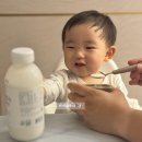 돌아기간식 이레목장 산양유 산양요거트 유기농방목마켓 후기