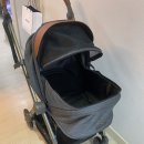 (주)그레이스원 | 강아지 유모차 후기 로얄테일즈 그레이스 원바디 도착..!