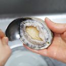 바다한상 이미지