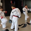 케이타이거즈(KTIGERS) 태권도장 이미지