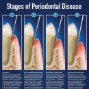 스위스동물병원 이미지
