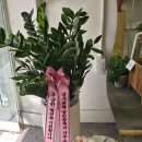 원탑공인중개사사무소 이미지