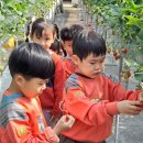 안남초교 병설유치원 이미지