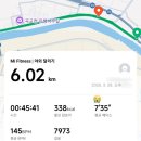 11500-8-18-09 | 평발 내전 운동화 써코니가이드18 사이즈 235 구입 후기 &amp; 신스프린트 종아리발목통증 치료