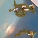 평화고속관광여행사(주) | 평화통일을 염원하며, 생명과 자연, 평화를 품은 서해 최북단섬 백령도를 걷다