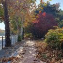 지에스25 대동단결점 이미지