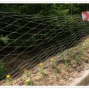 너른바위 이미지