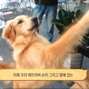 율생농장 네이버블로그