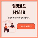 H1618 네이버블로그