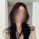 헤어-아르보