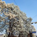 운악골 가평점 이미지