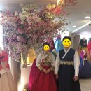 수연한복 이미지