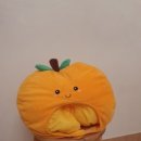 강남셀프 이미지