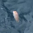 한우와바다 이미지