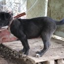 두환농장 이미지