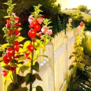 수정동농장 이미지