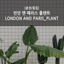 런던앤패리스 이미지