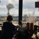 O JEJU | [Jeju-cafe] 제주 동쪽 카페 마요피 솔직후기 : 음악과 책과 낭만이 있는 조용한 카페 마요피