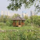 삼락생태공원 이미지