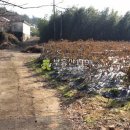 와초리농장 이미지