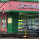 캑티가챠샵 이미지