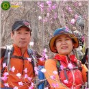 목통산장 이미지