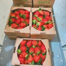 농협기업도시점 이미지