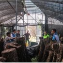 화순군산림조합 이미지