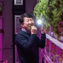 넥스트온 이미지