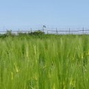 파평면 행정복지센터 이미지