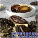 완도참전복집 이미지