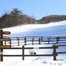 하늘목장 이미지