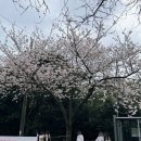 서호새마을금고 이미지