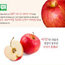 용바이오 이미지