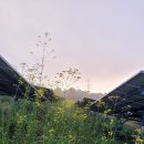 가연 태양광발전소 이미지