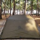 솔향기하우스 | 매미부부 캠핑 : 연곡해변솔향기캠핑장 C존 324 노지사이트 캠핑 후기