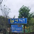 가평물골숲계곡캠핑장 | 서울근교캠핑장-가평 물골숲계곡캠핑장(내돈내산)
