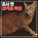 멍냥창고 이미지